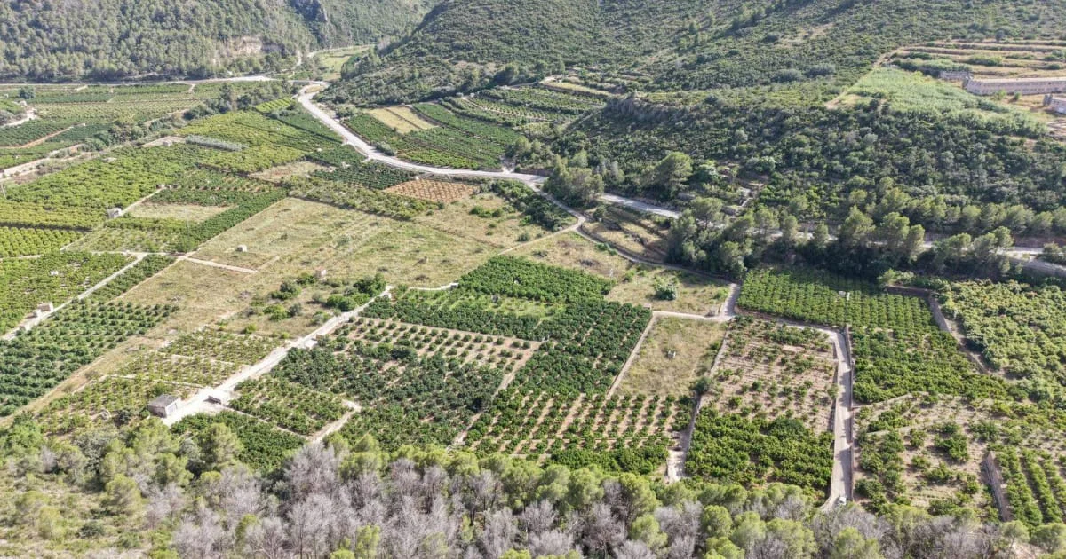19,000 m² land in L'Atzúbia