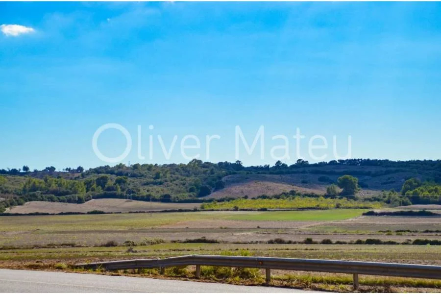 Finca rústica elevada en Petra, 120.000 m²