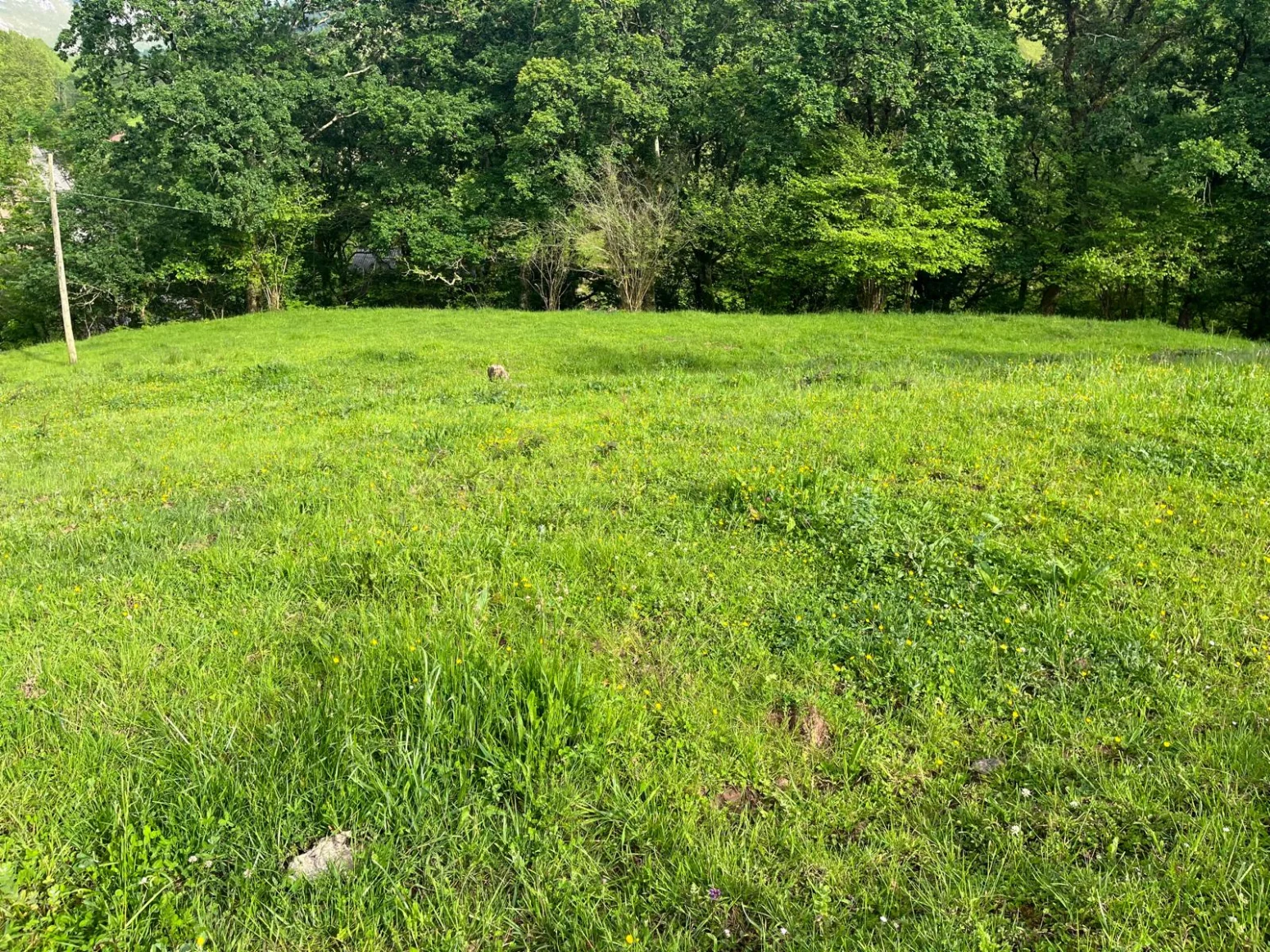 Rustic land near Liérganes, 3800 m²