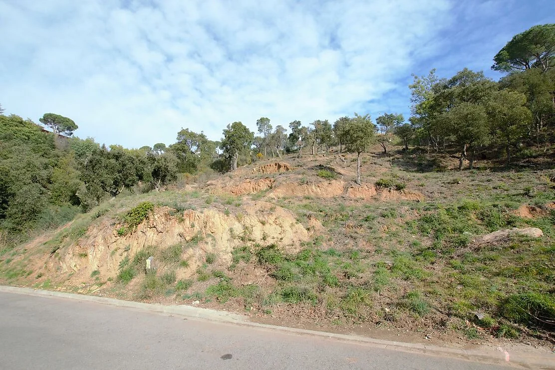 Sunny Calonge plot with Gavarres views