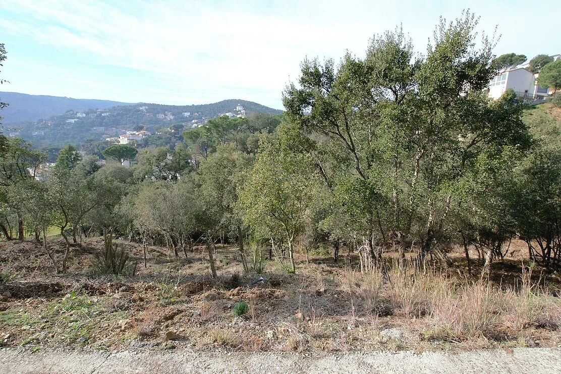Sunny 600 m² plot near centre