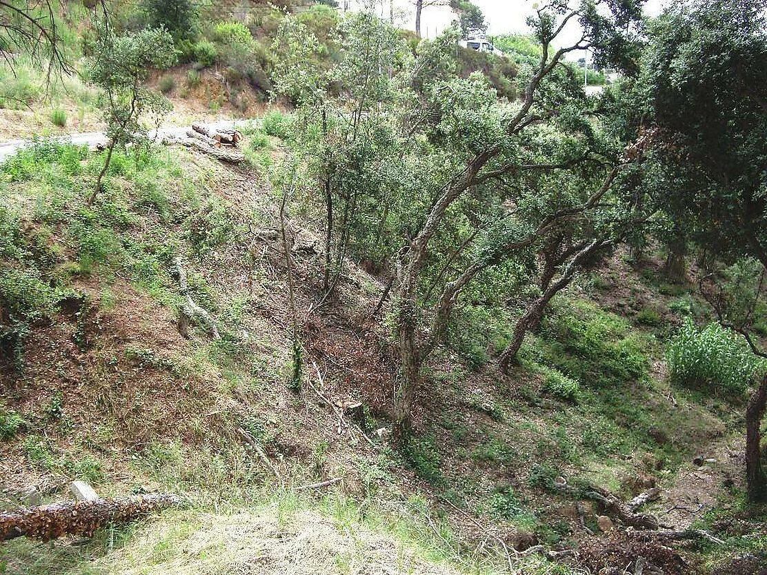 Buildable plot with 60m frontage
