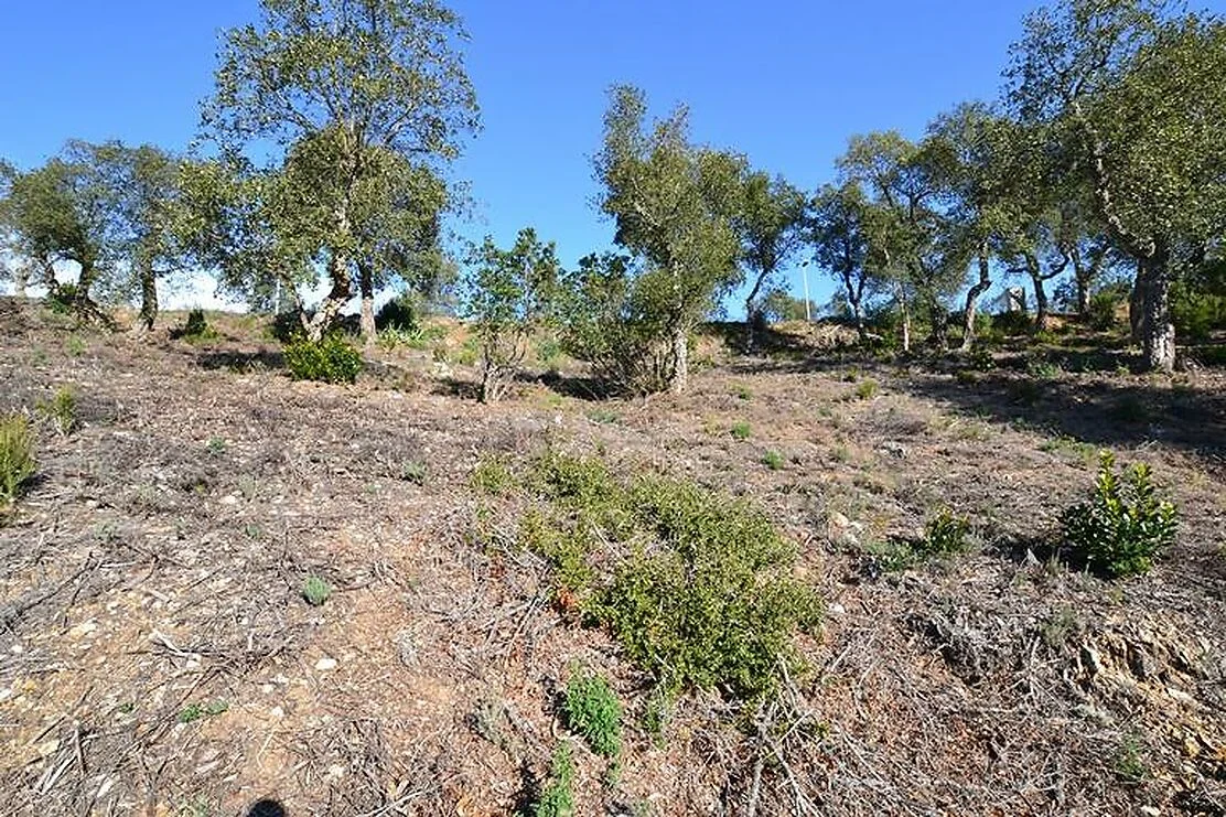 Buildable plot with green views