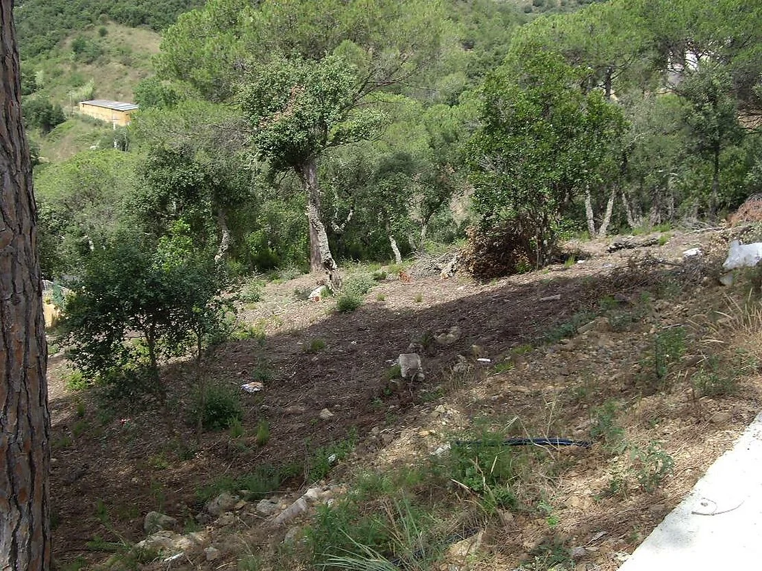 Calonge plot with Gavarres views