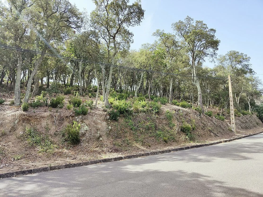 Residential plot in Vall-Repòs, 2,285 m²