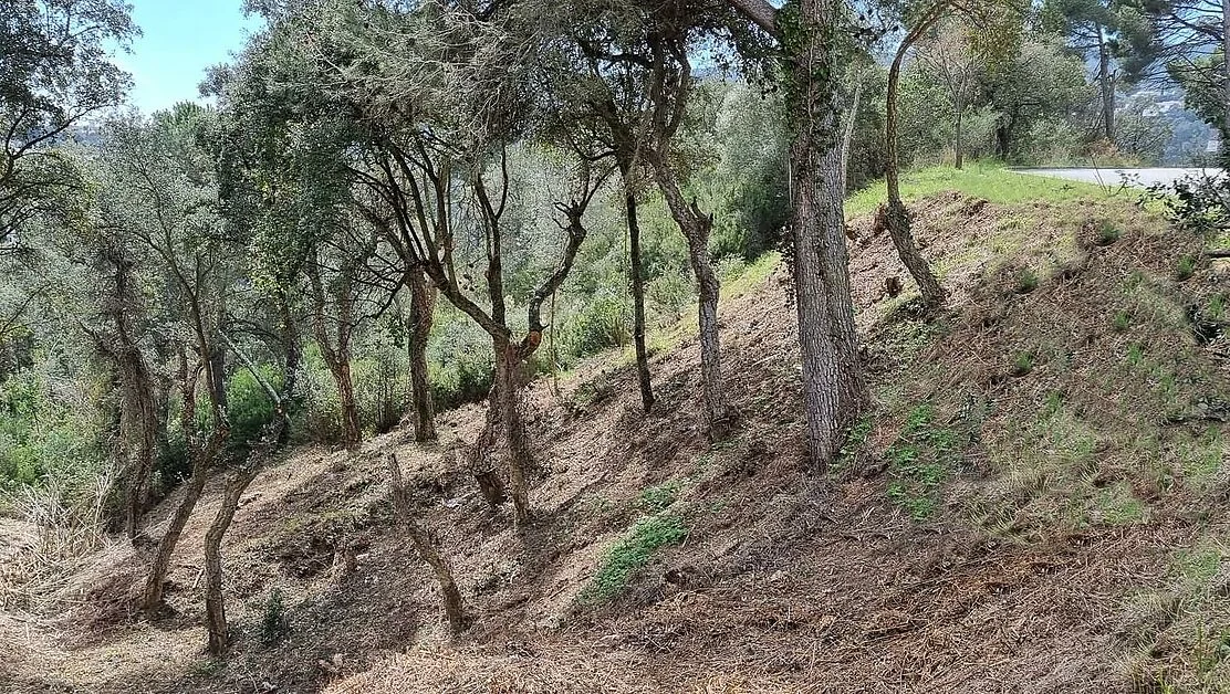 Sloping plot with Gavarres views