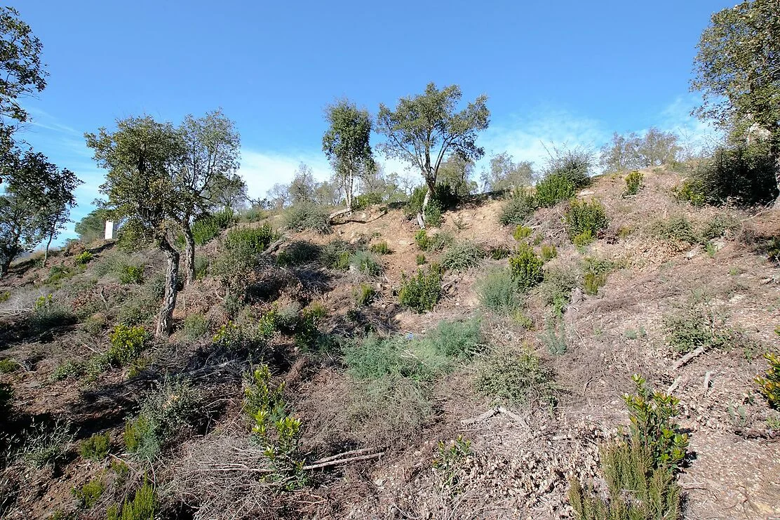 South-facing 700 m² sloping land