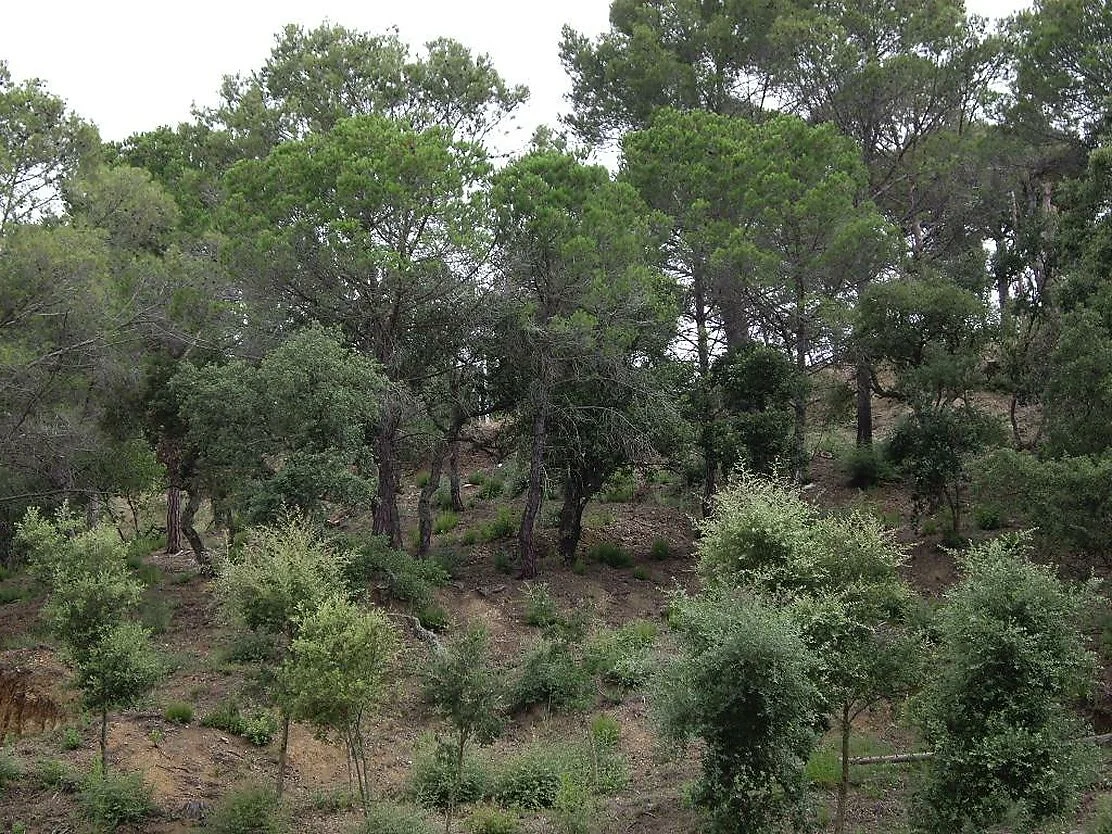 South-facing plot with panoramic views