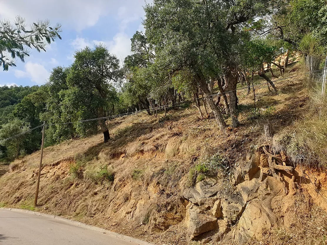Sea-view hillside plot with services