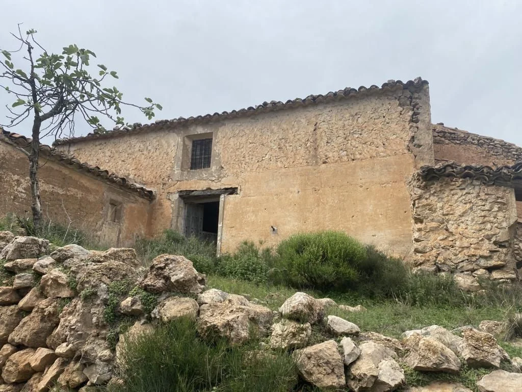 Gran finca rústica con cortijo en ruinas