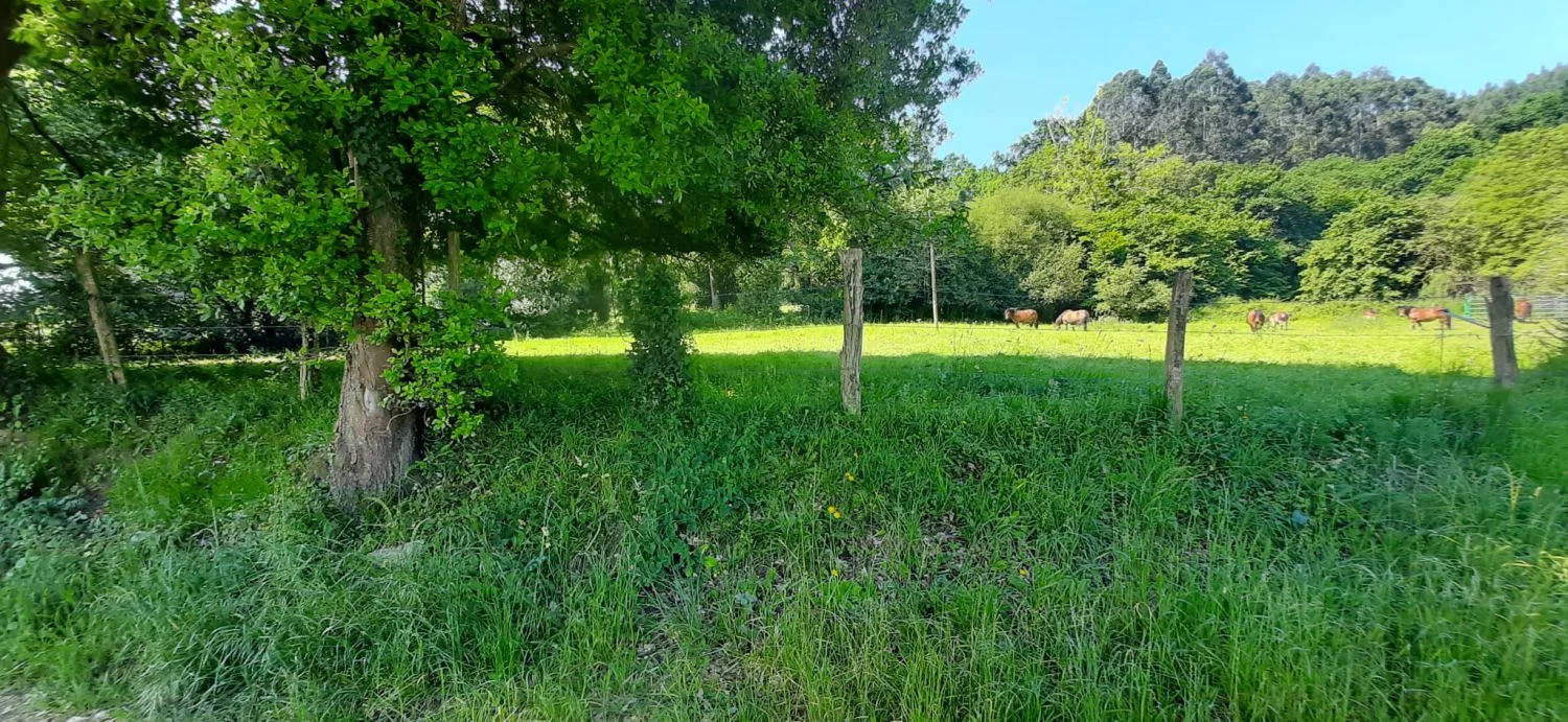 Protected rural plot near Escalante