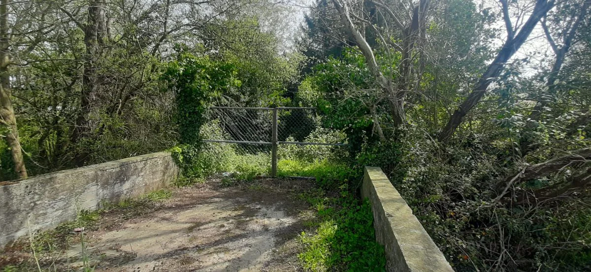 Land near Gama, 3,800 m²
