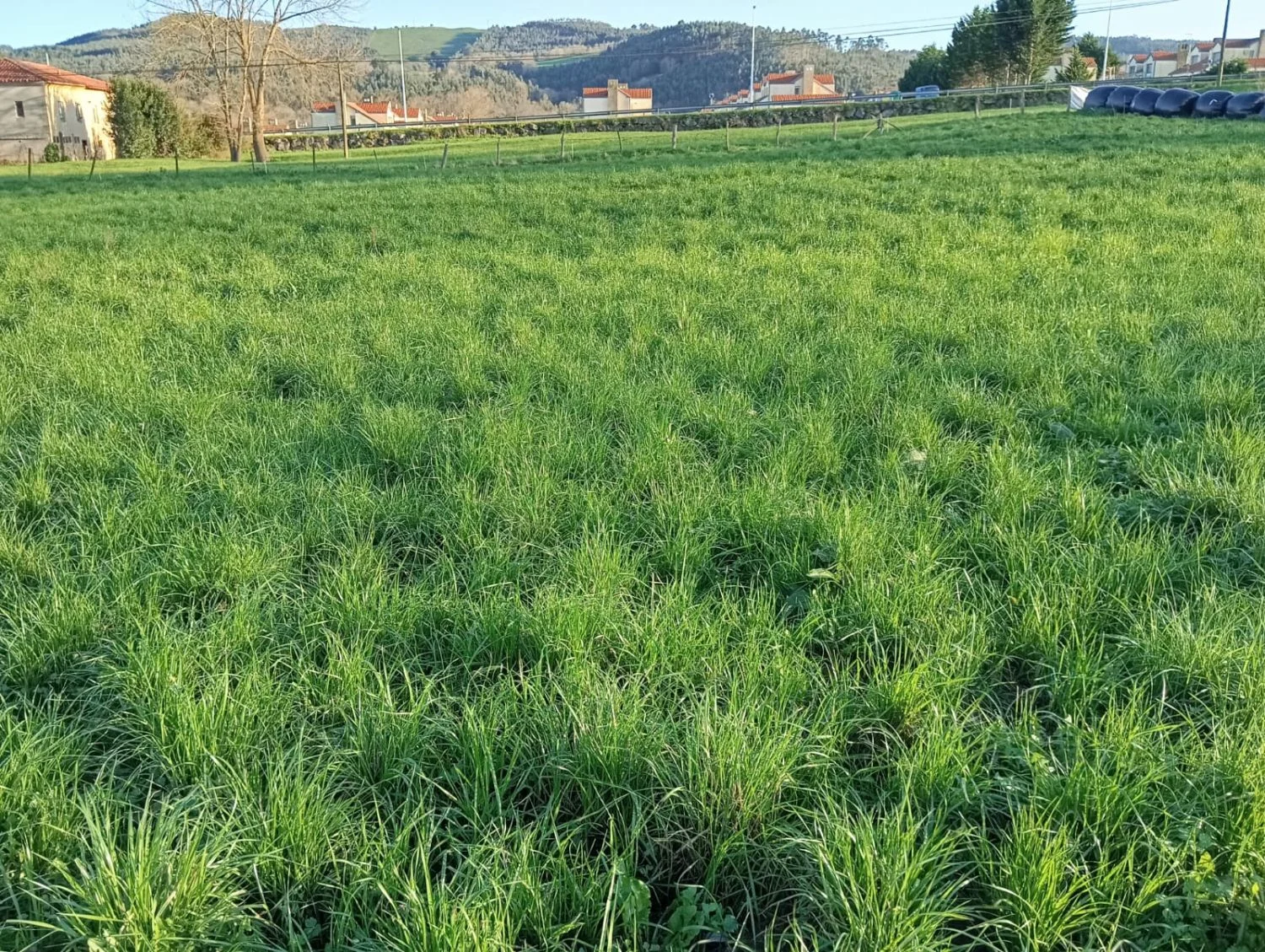 Rural plot near Hazas, 2,345 m²