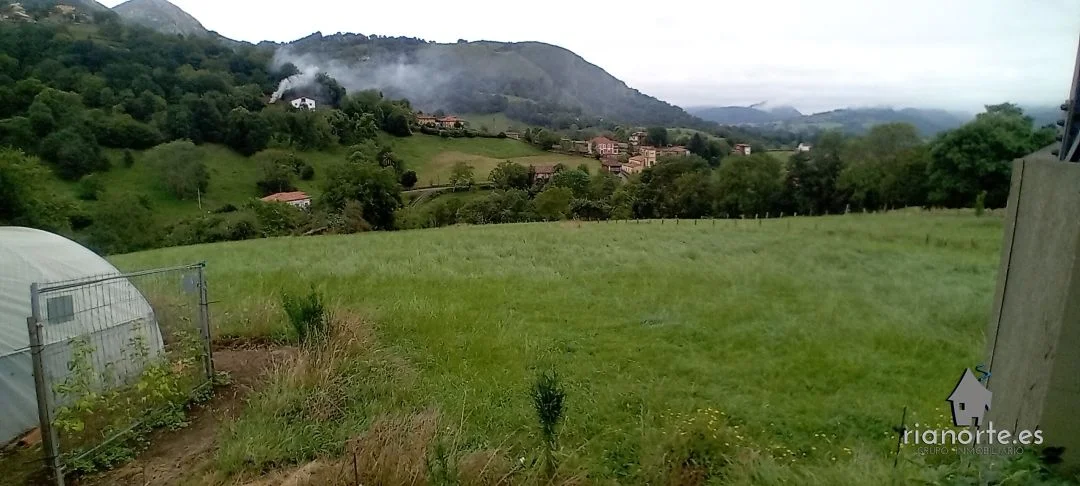 Developable plot near Borines, 4,000 m²
