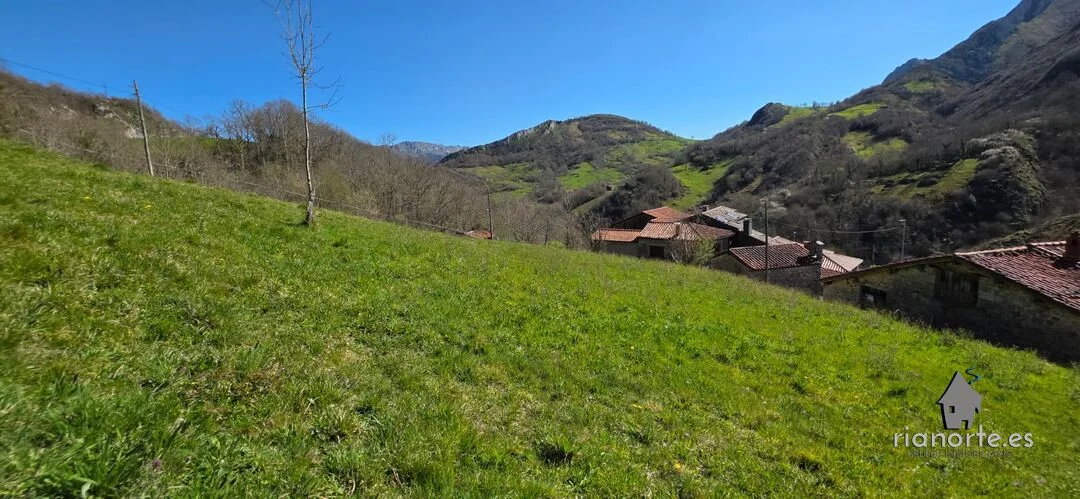Buildable plot in Cabrales, 1,050 m²