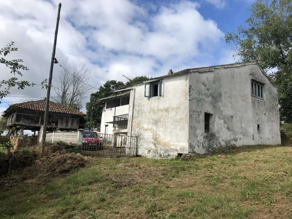Reform house with buildable farm