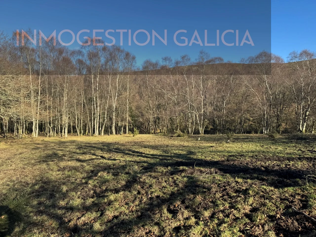 Natural Muras estate with development potential