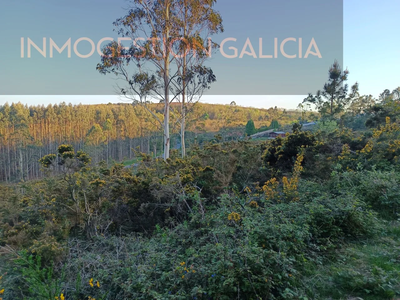 Terreno en Monte Xalo con vistas panorámicas