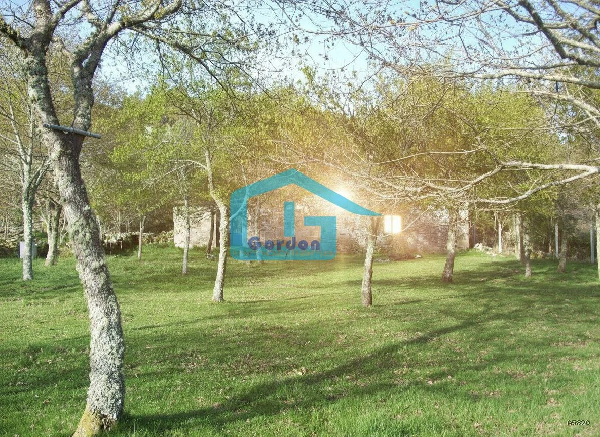 Rural stone house, 1,703 m² plot