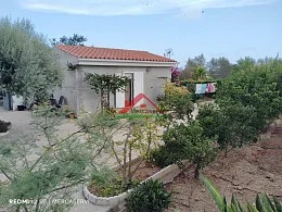 Three-bedroom house with large plot