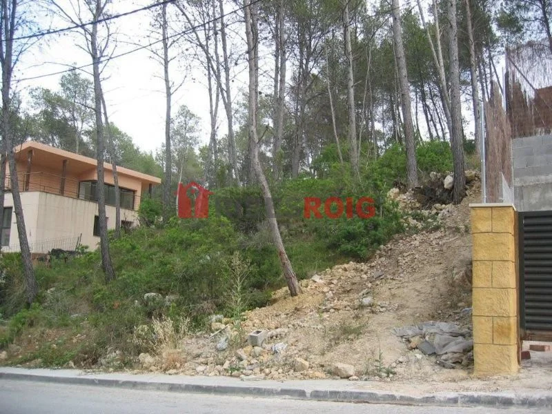 Sunny 1,000 m² plot in Les Colines