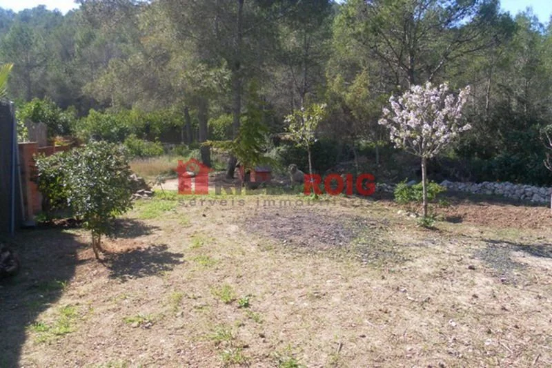 Sunny 930 m² plot in Olivella