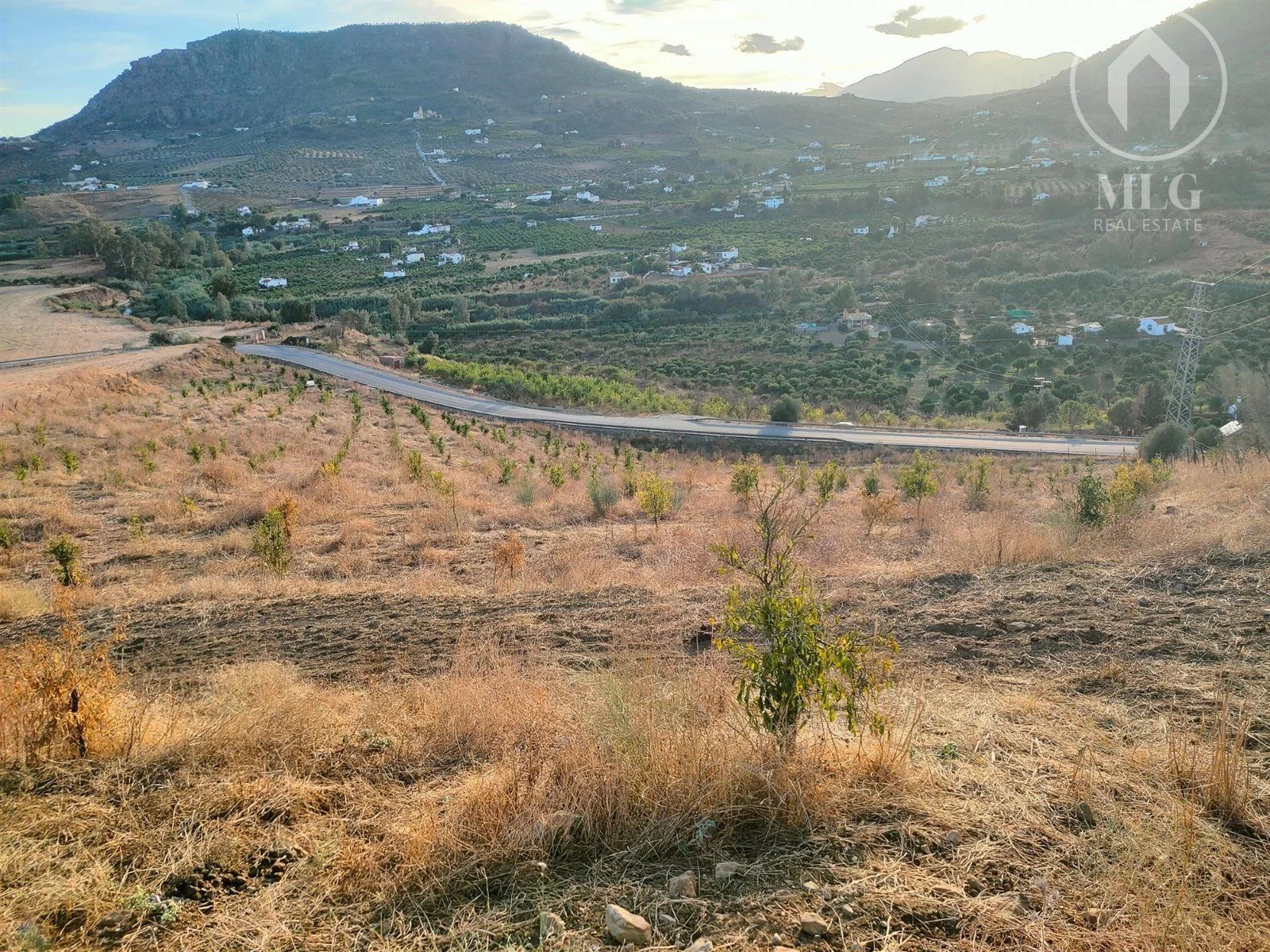 Agricultural land with productive orange groves