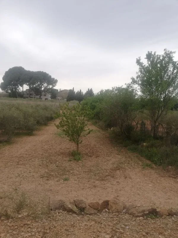 Finca rústica productiva cerca de Valls