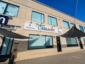 Local comercial alquilado en Európolis, 256 m²