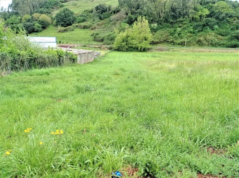 Flat rural plot near Cantabrian coast