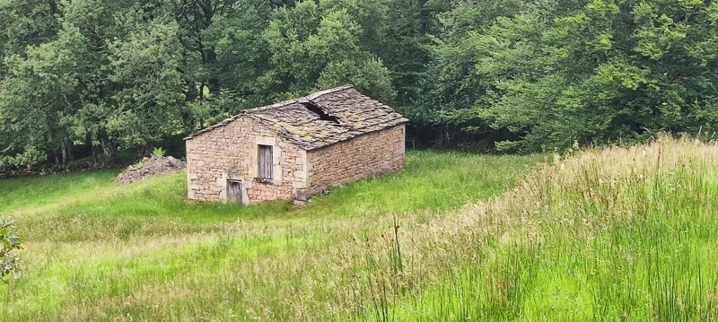 Chalet para reformar en gran finca rural