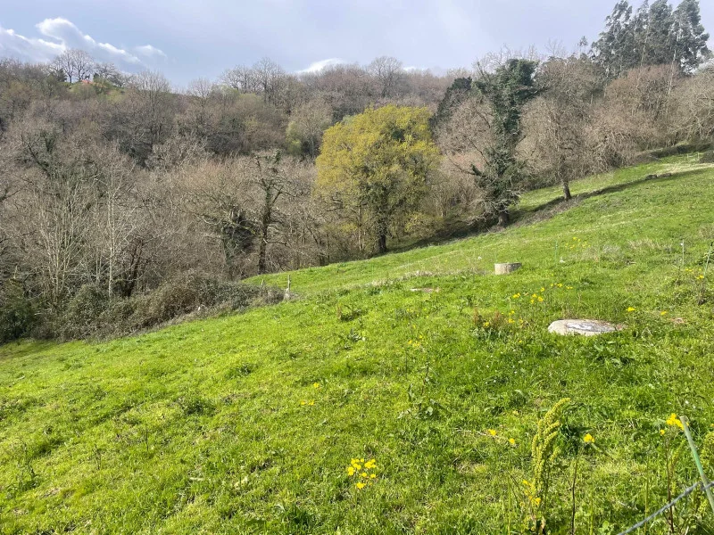 Urban plot with chalet potential