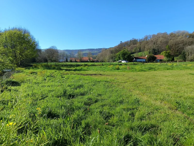 Protected rural plot with horse stable