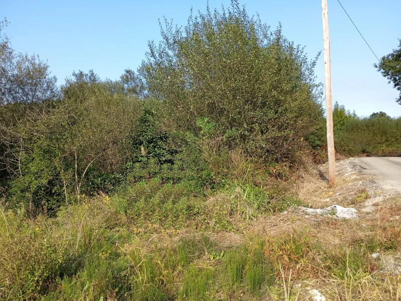 Rural land near Cantabrian coast