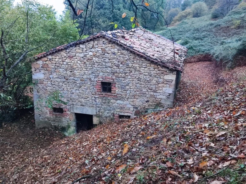 Cabaña rural con gran terreno