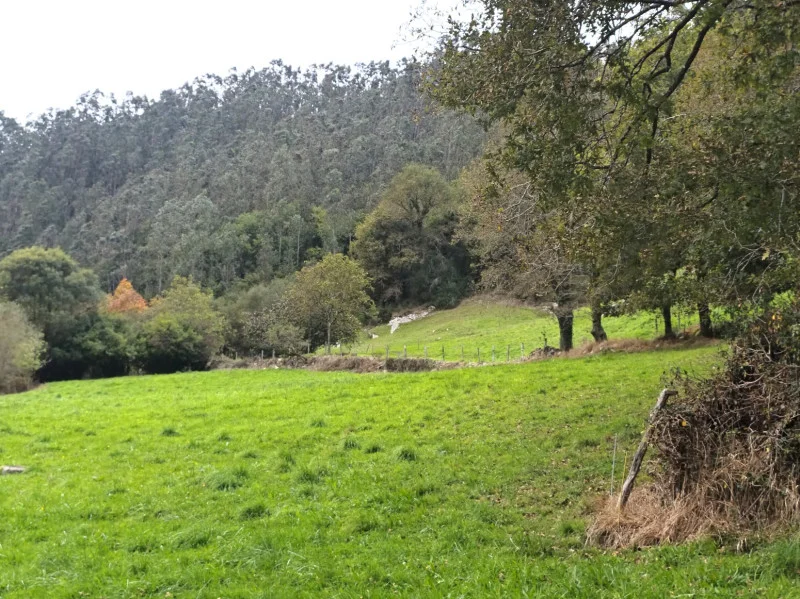 Rural plot in Valdáliga with river views