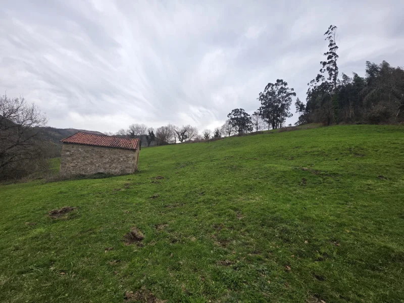 Fenced plot with renovation cabin
