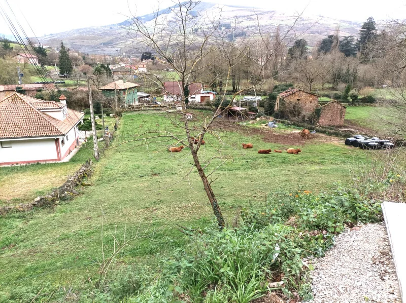Finca rústica edificable de 1.460 m²