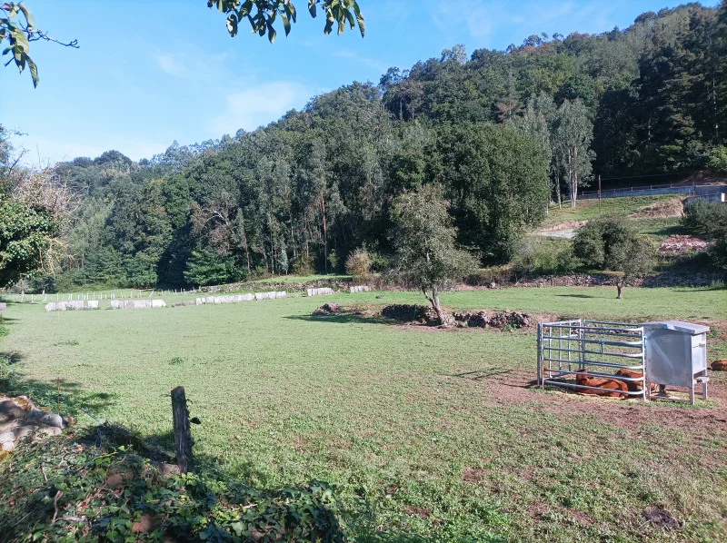 Finca rústica en el Valle de Iguña, 5.350 m²