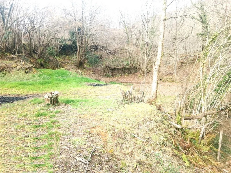 Finca rústica con potencial edificable