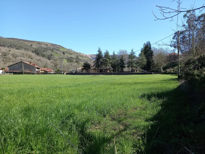 Parcela rústica llana cerca de Valles Pasiegos