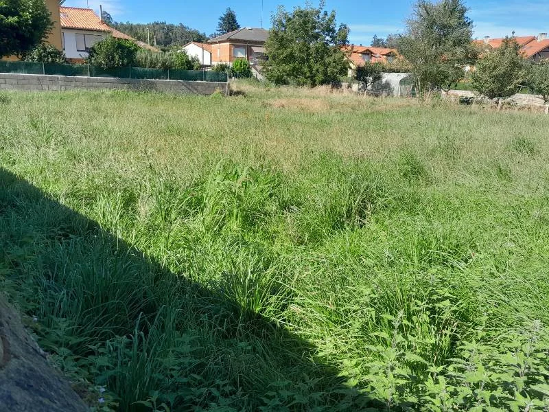 Urban plot near Torrelavega