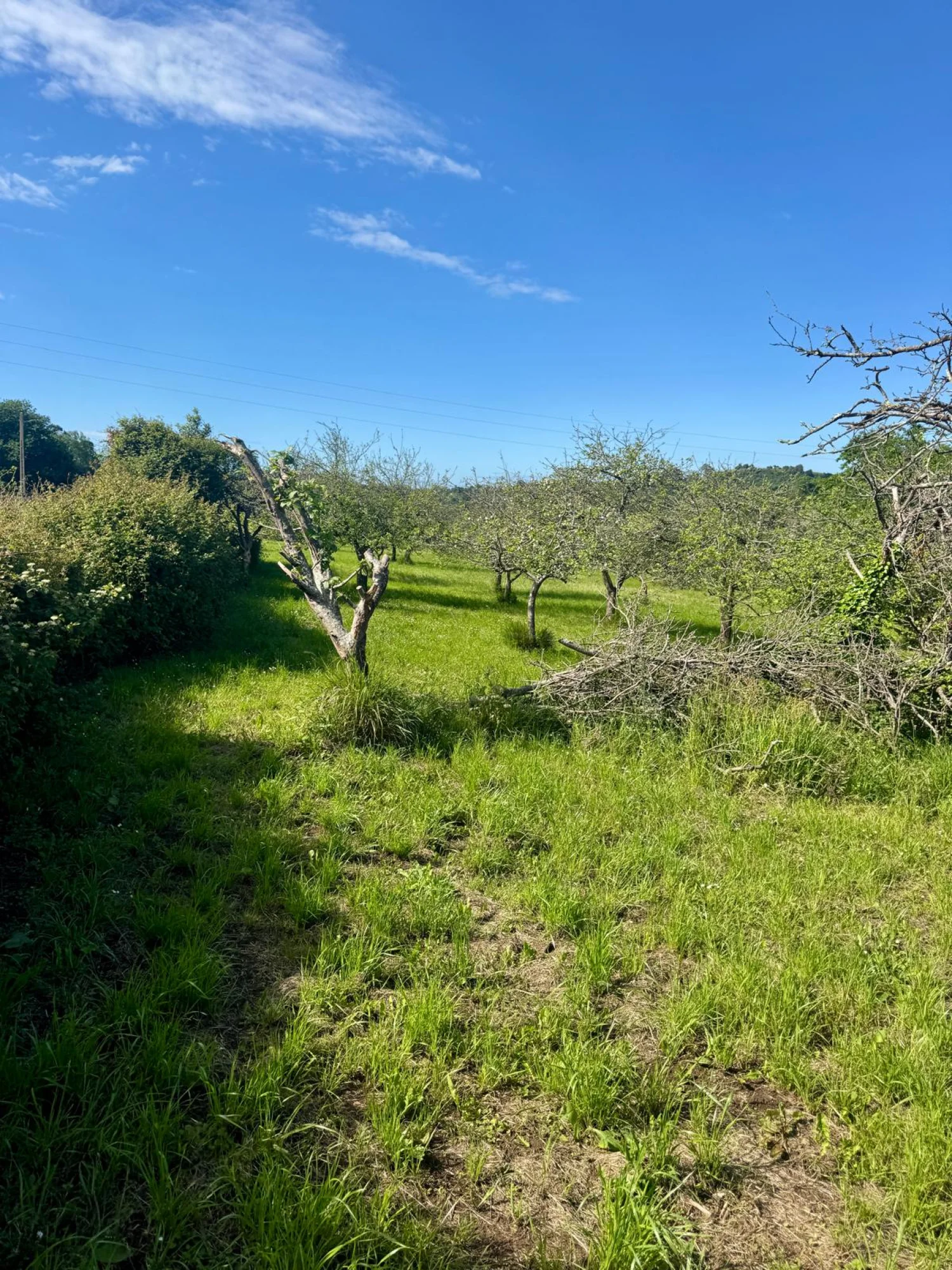 Rural plot near Gijón, 2,285 m²