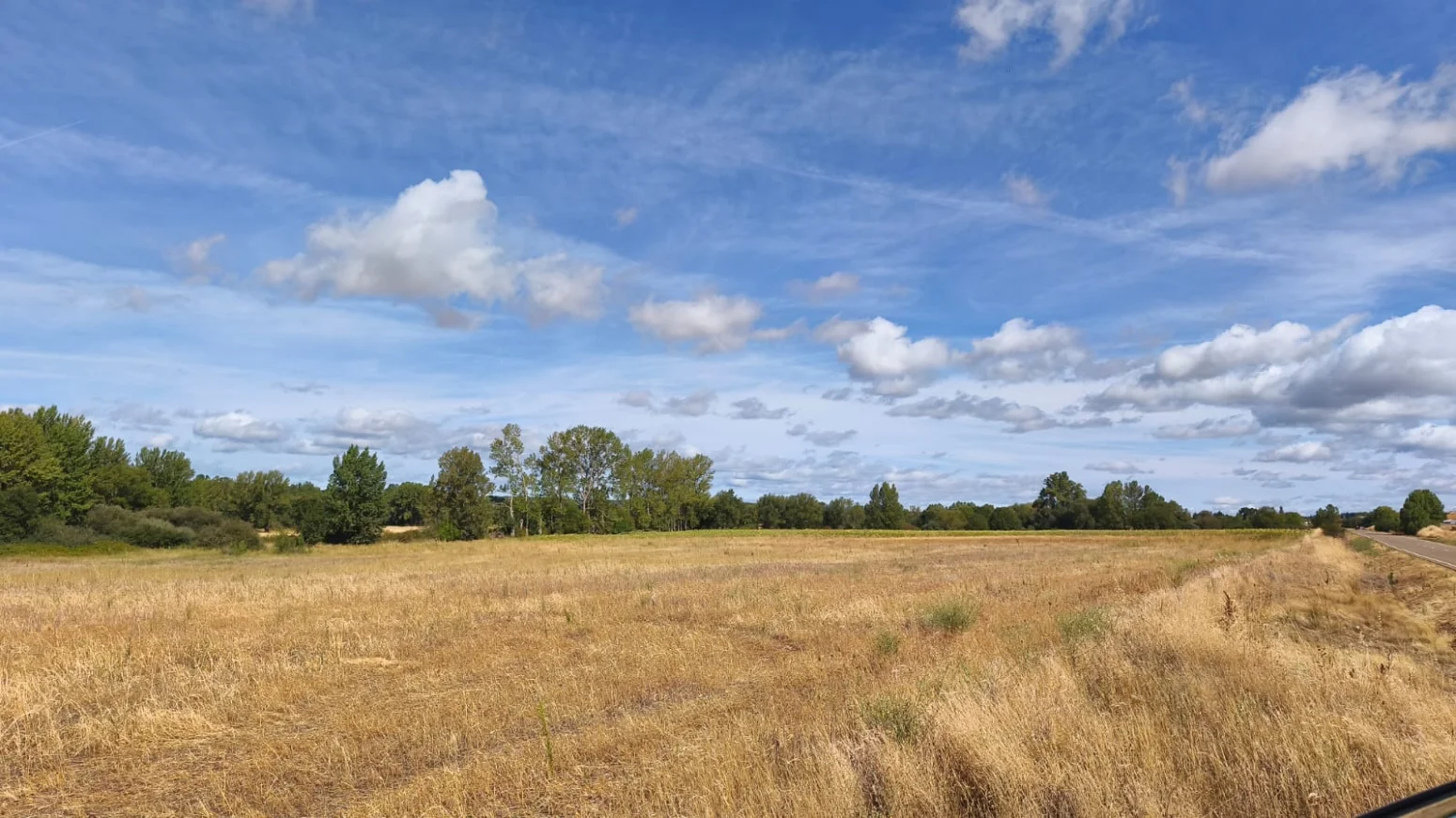 Large dryland farm in Villazanzo