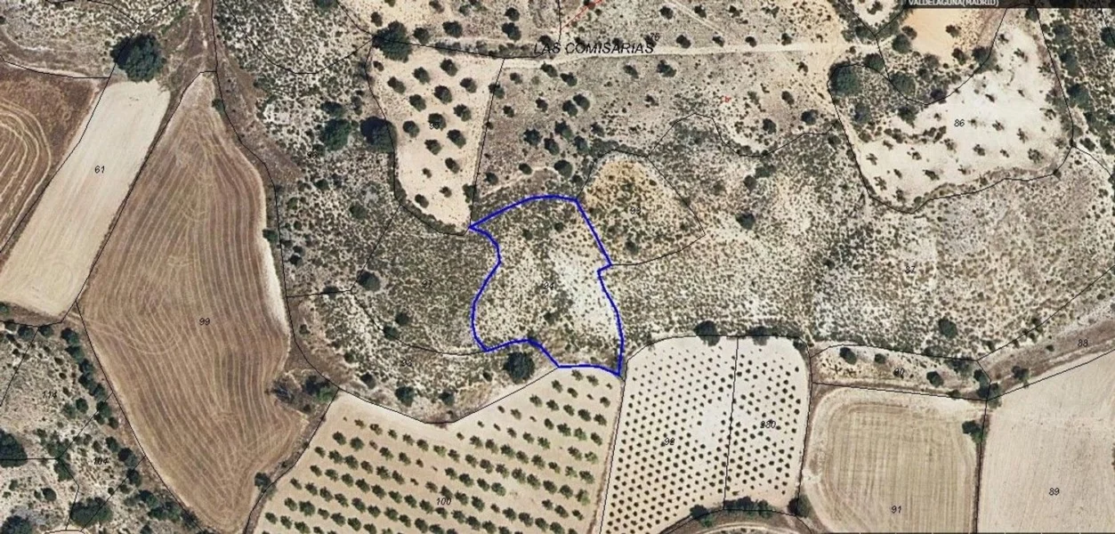 Rural olive land near Madrid