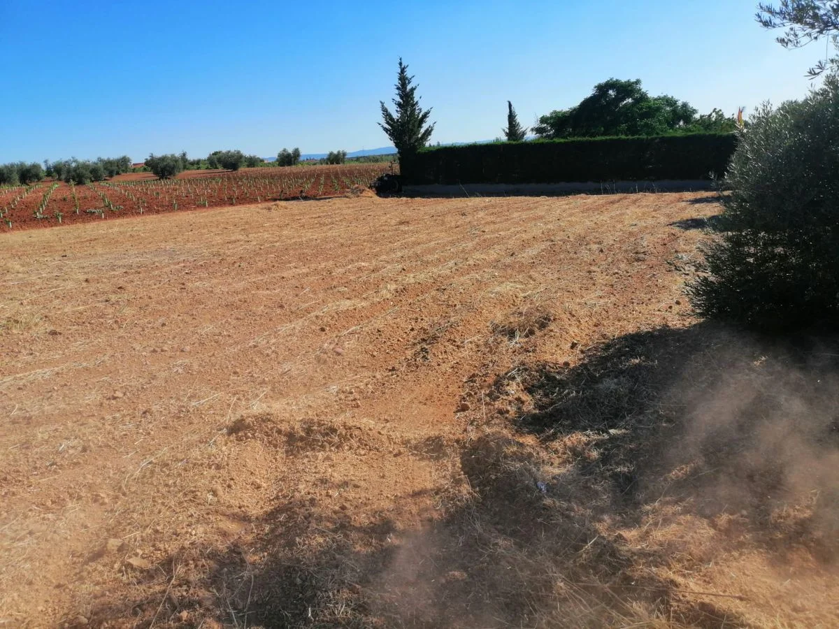 Finca rústica cerca de Almendralejo, 1000 m²