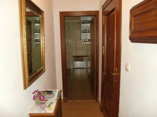 Three-bedroom flat in Santiago-Ermita