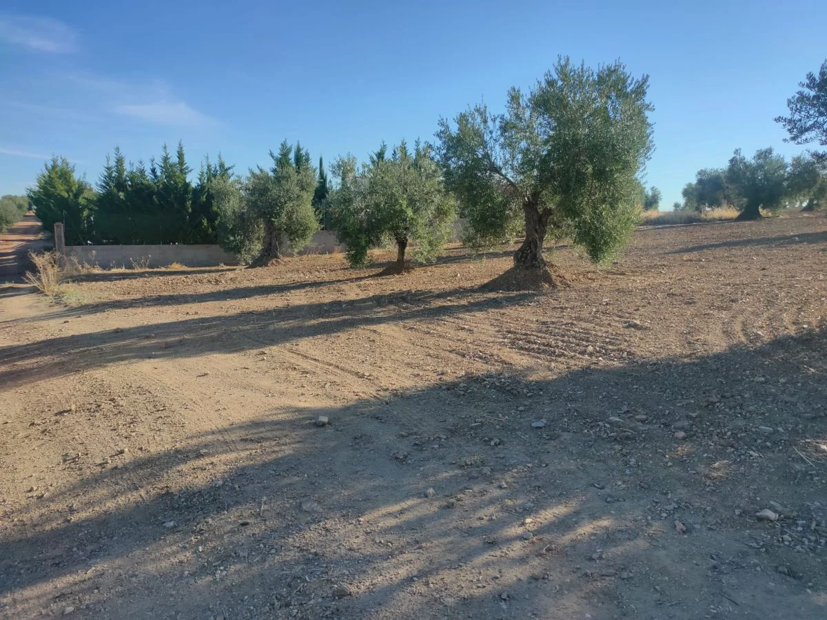 San Marcos land plot, 3000 m²