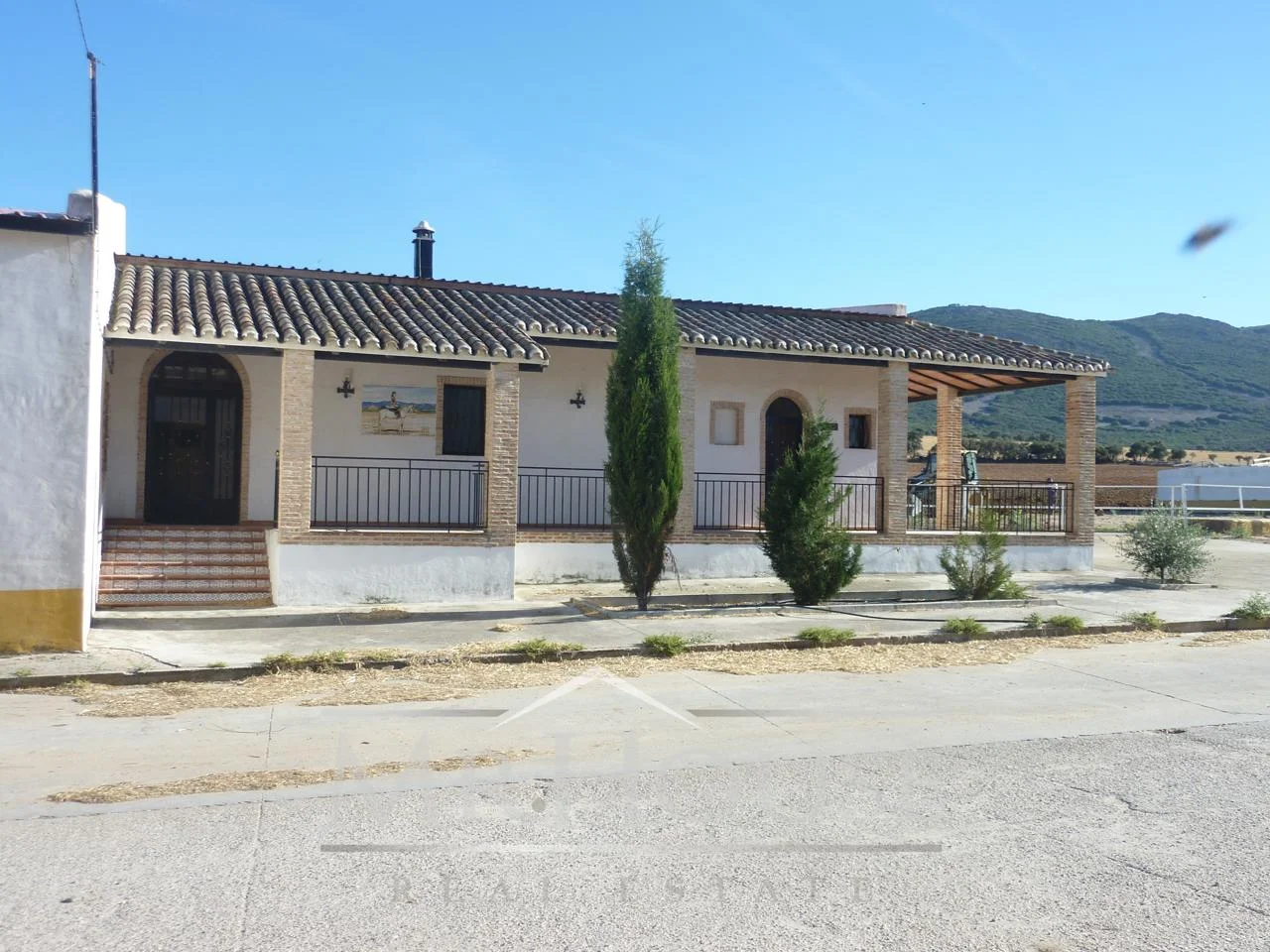 Large rustic land near Los Yébenes