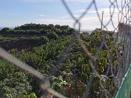 Rural land in Polígonos, 12,600 m²